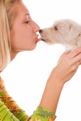 Dog kissing owner
