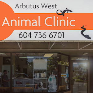 Arbutus West Animal Clinic - Release The Hounds