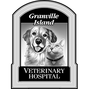 Granville Island Veterinary Hospital - Release The Hounds