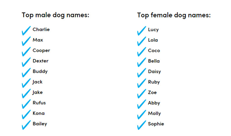 top-dog-names