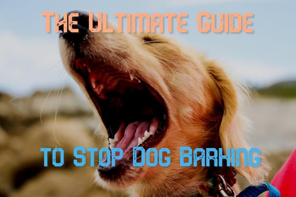 Stop dog barking