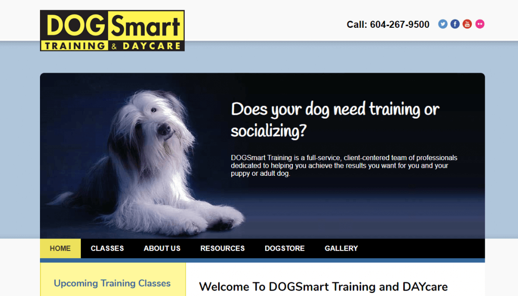 DogSmart Dog Training